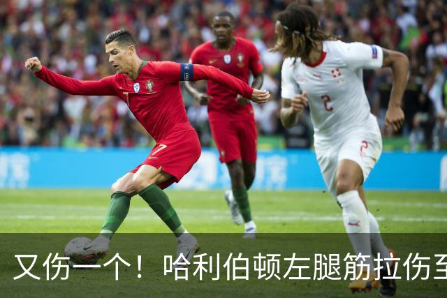 又伤一个！哈利伯顿左腿筋拉伤至少缺席2周
