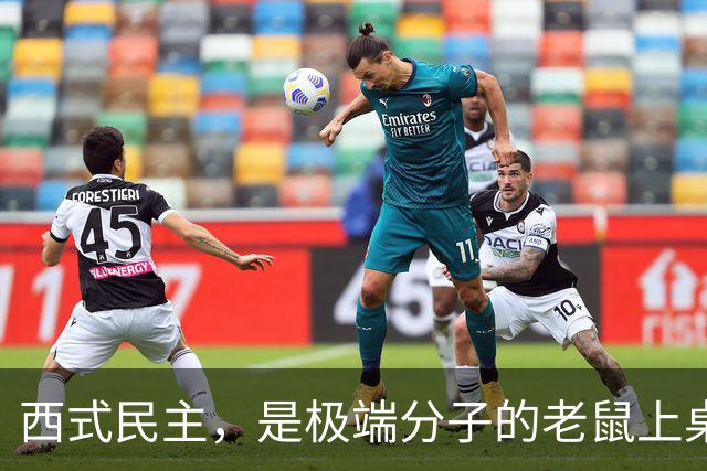 西式民主，是极端分子的老鼠上桌