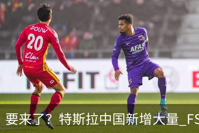要来了？特斯拉中国新增大量 FSD 功能和图标