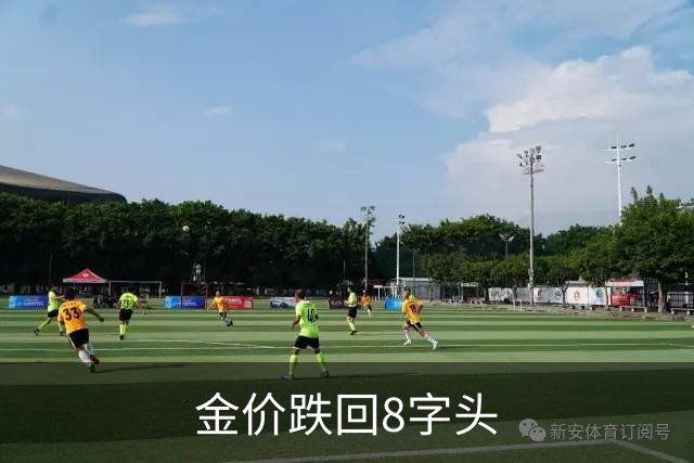 金价跌回8字头